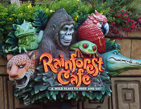 Rainforest Cafe Food Allergy Dining